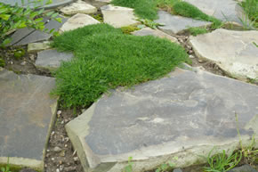 Detaily v podobě jemných rostlinek, které prorůstají mezi nášlapnými kameny, jsou důležité